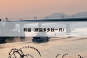 薮猫（薮猫多少钱一只）