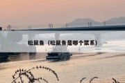 松鼠鱼（松鼠鱼是哪个菜系）