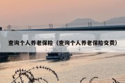 查询个人养老保险（查询个人养老保险交费）