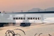 秋田犬俊介（秋田犬全名）