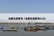 合肥社保查询（合肥社保查询入口）