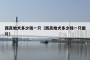 西高地犬多少钱一只（西高地犬多少钱一只图片）