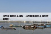 乌龟白眼病怎么治疗（乌龟白眼病怎么治疗效果最好）