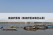 微波炉蒸饭（微波炉蒸米饭怎么蒸）