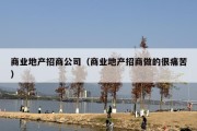 商业地产招商公司（商业地产招商做的很痛苦）