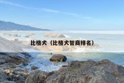 比格犬（比格犬智商排名）