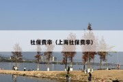 社保费率（上海社保费率）