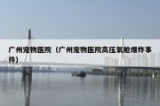 广州宠物医院（广州宠物医院高压氧舱爆炸事件）