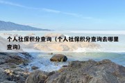 个人社保积分查询（个人社保积分查询去哪里查询）