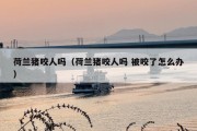 荷兰猪咬人吗（荷兰猪咬人吗 被咬了怎么办）