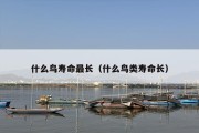 什么鸟寿命最长（什么鸟类寿命长）