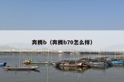 奔腾b（奔腾b70怎么样）