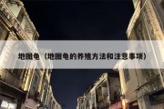 地图龟（地图龟的养殖方法和注意事项）