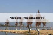 汽车消耗品（汽车消耗品有哪些）
