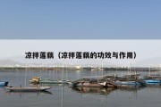 凉拌莲藕（凉拌莲藕的功效与作用）
