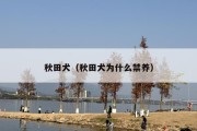 秋田犬（秋田犬为什么禁养）