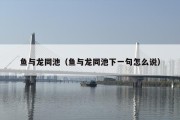 鱼与龙同池（鱼与龙同池下一句怎么说）