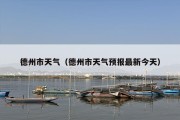 德州市天气（德州市天气预报最新今天）