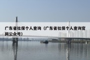 广东省社保个人查询（广东省社保个人查询官网公众号）