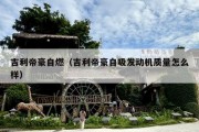 吉利帝豪自燃（吉利帝豪自吸发动机质量怎么样）