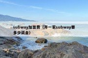 subway加盟费（开一家subway要多少资金）