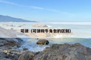 可颂（可颂和牛角包的区别）