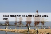 鱼头汤的做法大全（怎么样做鱼头汤白又鲜又好吃）