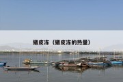 猪皮冻（猪皮冻的热量）