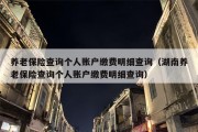 养老保险查询个人账户缴费明细查询（湖南养老保险查询个人账户缴费明细查询）
