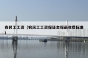 农民工工资（农民工工资保证金保函收费标准）
