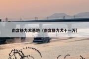 南宫格力犬基地（南宫格力犬十一万）