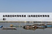 台风路径实时发布系统（台风路径实时发布信息）