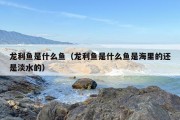 龙利鱼是什么鱼（龙利鱼是什么鱼是海里的还是淡水的）
