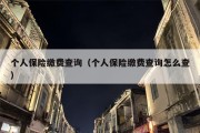 个人保险缴费查询（个人保险缴费查询怎么查）