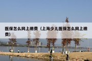 医保怎么网上缴费（上海少儿医保怎么网上缴费）
