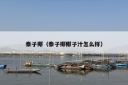 泰子椰（泰子椰椰子汁怎么样）