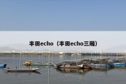 丰田echo（丰田echo三厢）