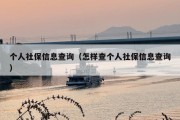 个人社保信息查询（怎样查个人社保信息查询）