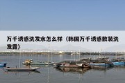 万千诱惑洗发水怎么样（韩国万千诱惑散装洗发露）