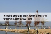 养巴西龟放多少水（养巴西龟放多少水合适 家养巴西龟要放多少水  京东）