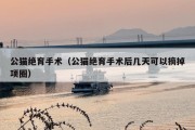 公猫绝育手术（公猫绝育手术后几天可以摘掉项圈）