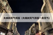 大杨树天气预报（大杨树天气预报一周天气）