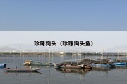 珍珠狗头（珍珠狗头鱼）