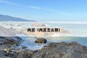 肉泥（肉泥怎么做）