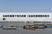 毛血旺是哪个地方的菜（毛血旺是哪里的地方菜）