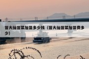 冒大仙冒菜加盟多少钱（冒大仙冒菜加盟费多少）