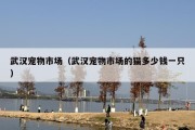 武汉宠物市场（武汉宠物市场的猫多少钱一只）