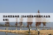 淡水观赏鱼种类（淡水观赏鱼种类图片大全及名称）