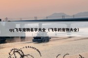 qq飞车宠物名字大全（飞车的宠物大全）