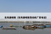 东风康明斯（东风康明斯发动机厂家电话）